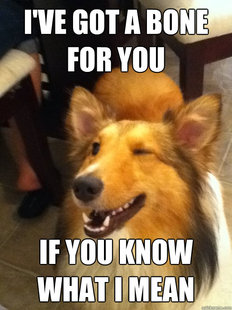 implying dog