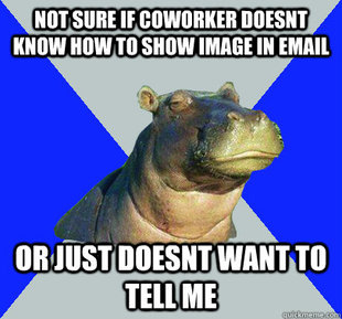 Skeptical Hippo