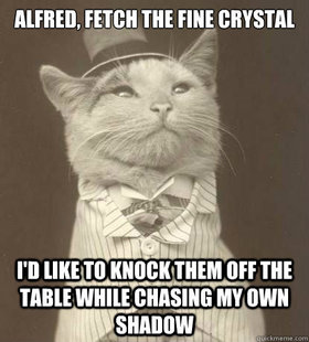Aristocat