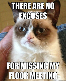 Grumpy cat
