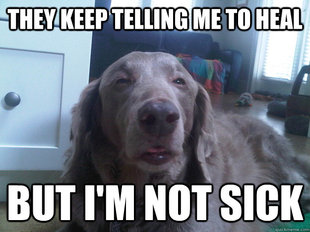 10 Dog