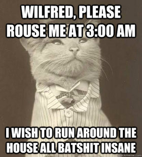 Aristocat