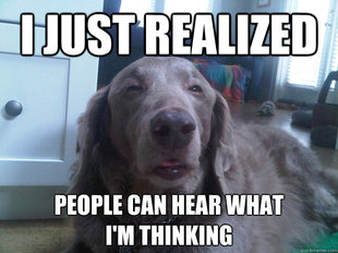10 Dog
