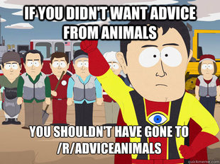 Captain Hindsight