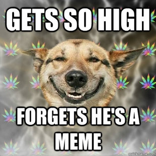 Stoner Dog