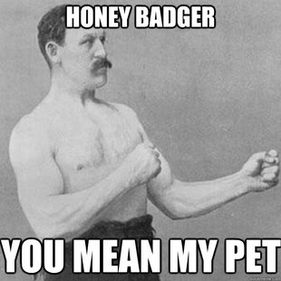overly manly man