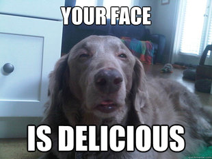 10 Dog