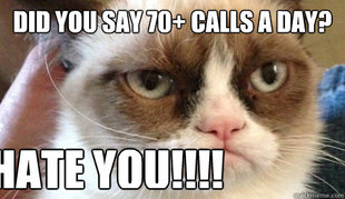 Grumpy cat