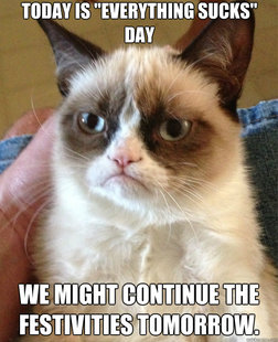 Grumpy Cat