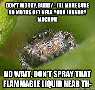 Misunderstood Spider