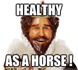 good guy burger king