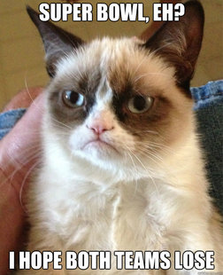 Grumpy Cat
