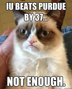 Grumpy cat