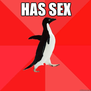 Socially Awesome Penguin