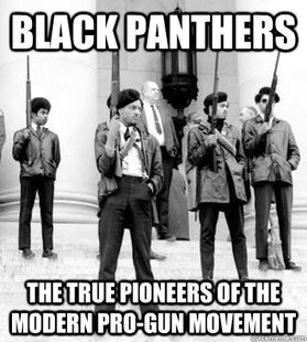 Black Panthers Gun Control