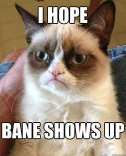 Grumpy Cat