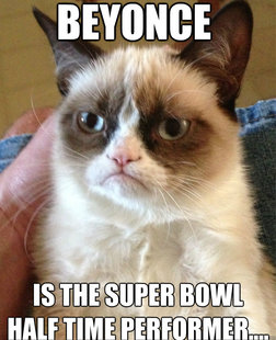 Grumpy cat