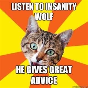 Bad Advice Cat