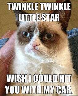 Grumpy cat