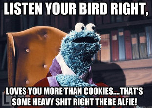 Cookie Monster