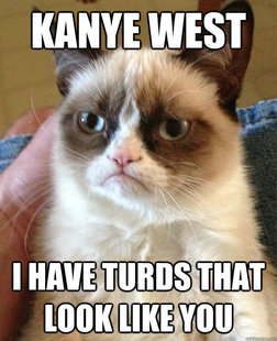 Grumpy cat