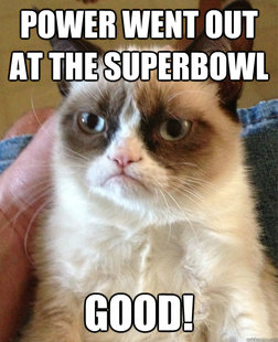 Grumpy cat