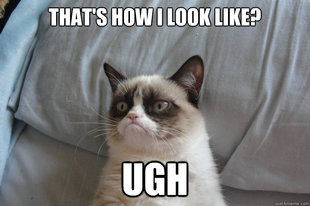 GrumpyCatOL
