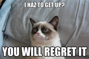 GrumpyCatOL