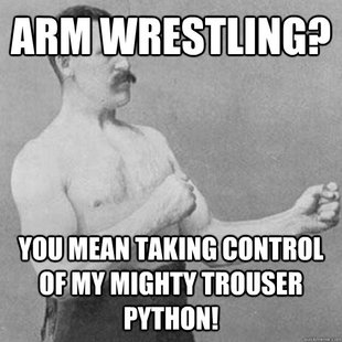overly manly man