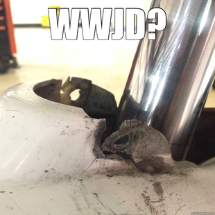 wwjd