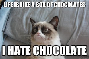 GrumpyCatOL