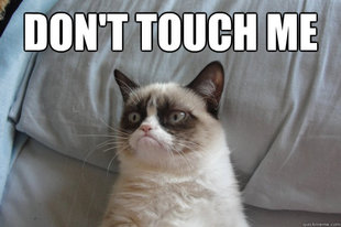 GrumpyCatOL