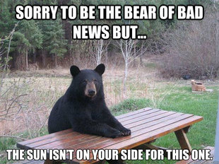 Bear of Bad News