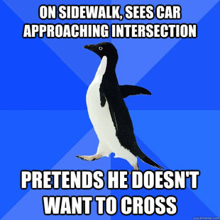 Socially Awkward Penguin