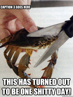 Optimistic Crab