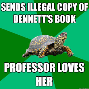Torrenting Turtle