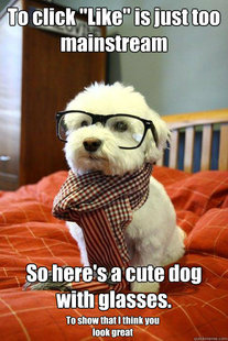 Hipster Dog
