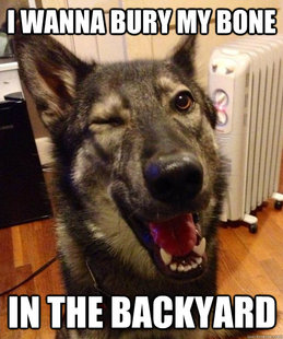 Pickup Pup