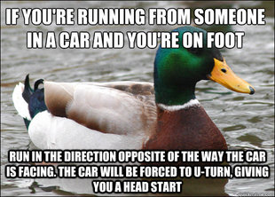 Actual Advice Mallard