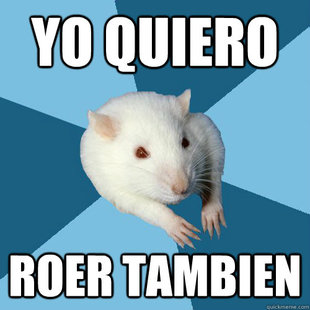 Psychology Major Rat