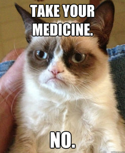 Grumpy cat