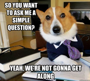 Lawyer Dog