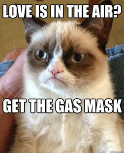 Grumpy cat