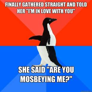 Socially awesome awkward penguin