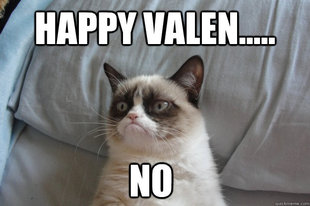 GrumpyCatOL