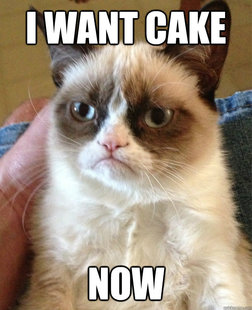 Grumpy cat