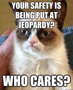 Grumpy cat