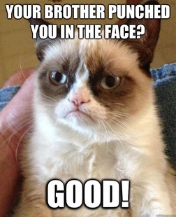 Grumpy cat