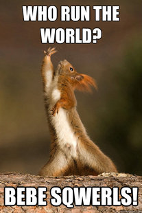 Who Run The World Squirrels