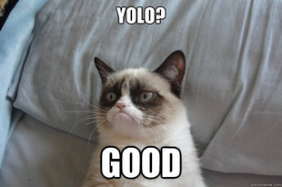 GrumpyCatOL